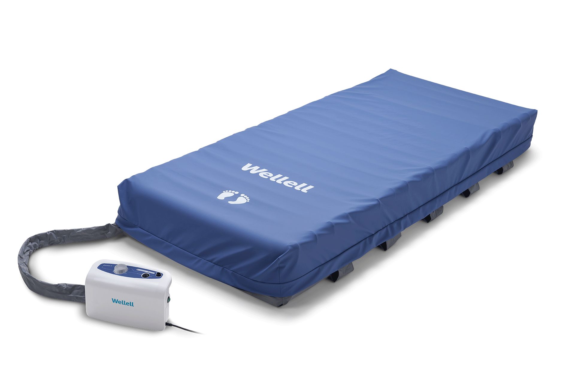 Domus 3 therapy